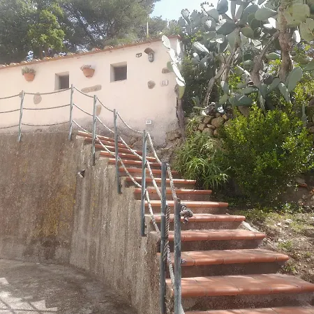 Fico D'india * Procchio (Isola d'Elba)