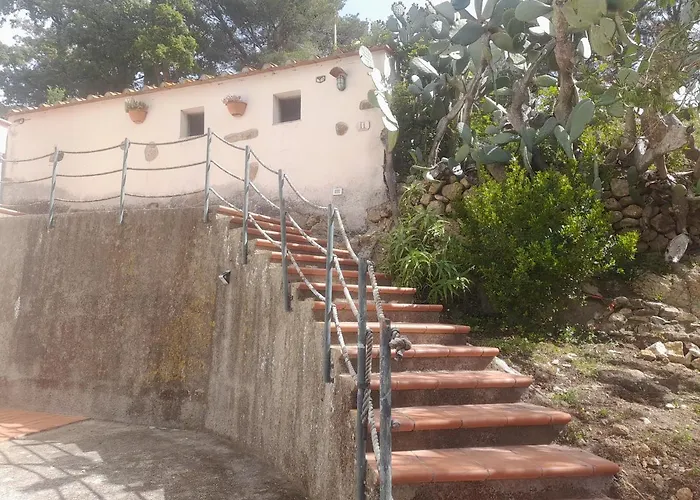 Fico D'india * 프로키오